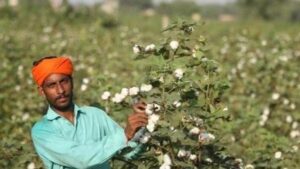 कपास किसान