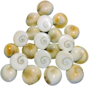 गोमती चक्र