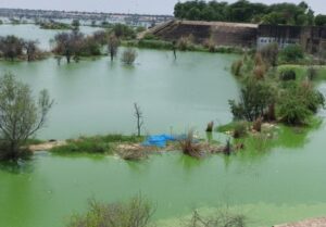 Strict Action Against Polythene.