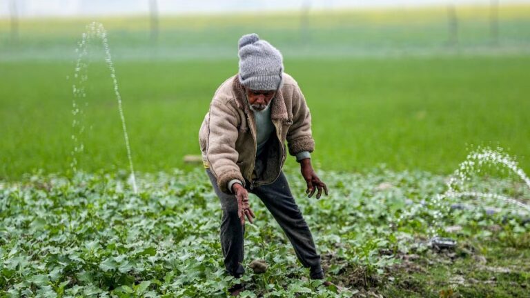 cold weather benefits the farmers